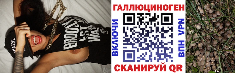Галлюциногенные грибы мухоморы  сколько стоит  Бабаево 